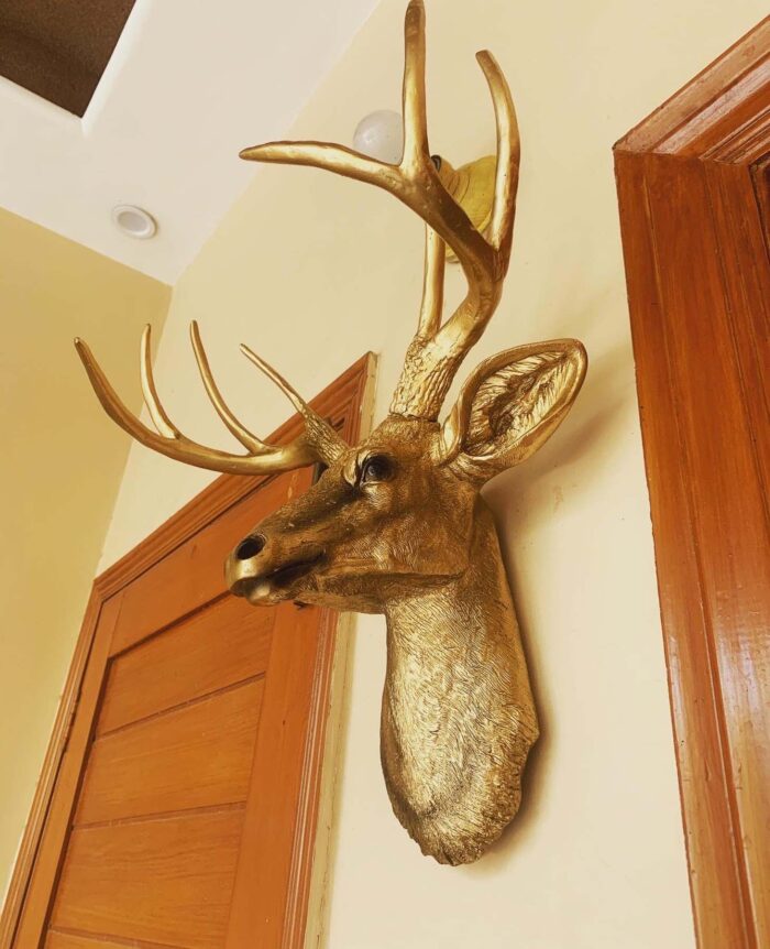 Golden Deer Wall Mount Trophy